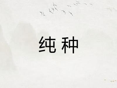 纯种